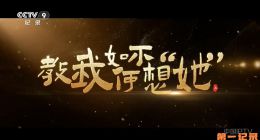 《教我如何不想“她”》2026.中国.历史[TS][1080i][央视中文][全2集]