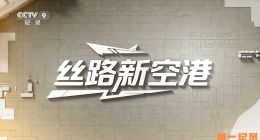 《丝路新空港》2025.中国.工程[TS][1080i][央视中文][全10集]