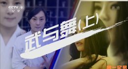 《武与舞》全2集.2016.中国.人物[TS][1080i][央视中文]