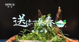 《送你一桌春》2025.中国.美食[TS][1080i][央视中文][全5集]