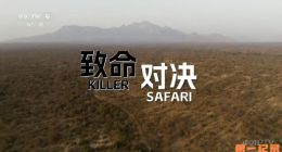 《致命对决》2026.南非.动物[TS][1080i][央视国配][全6集]