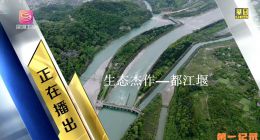 《生态杰作—都江堰》2025.中国.水利[TS][1080i][国语中字][全2集]