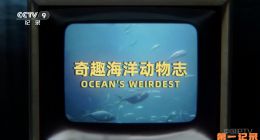 《奇趣海洋动物志》2022.美国.历史[TS][1080i][央视国配][全2集]