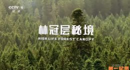 《林冠层秘境》2021.德国.自然[TS][1080i][央视中文][全1集]