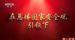 《在总体国家安全观引领下》2024.中国.专题[TS][1080i][央视中文][全1集]