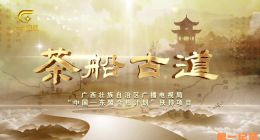 《茶船古道》2024.中国.历史[TS][1080i][国语中字][全2集]