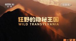 《狂野的隐秘王国》2024.中国.自然[TS][1080i][央视国配][全1集]