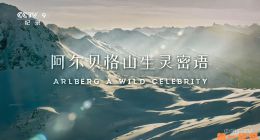 《阿尔贝格山生灵密语》2023.德国.自然[TS][1080i][央视国配][全1集]