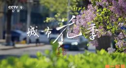 《城市花季》2026.中国.生态[TS][1080i][央视中文][全8集]
