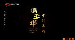 《马王堆·岁月不朽》2024.中国.考古[TS][1080i][国语中字][全8集]