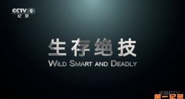 《生存绝技》2024.澳大利亚.动物[TS][1080i][央视国配][全6集]