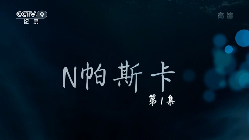 N帕斯卡.jpg