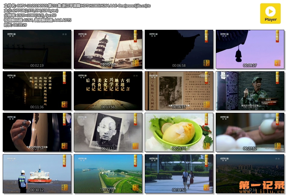 CCTV-10.20190505.第231集.浙江平湖篇.HDTV.1080i.H264.AAC-One[www.1jilu.cn].ts.jpg