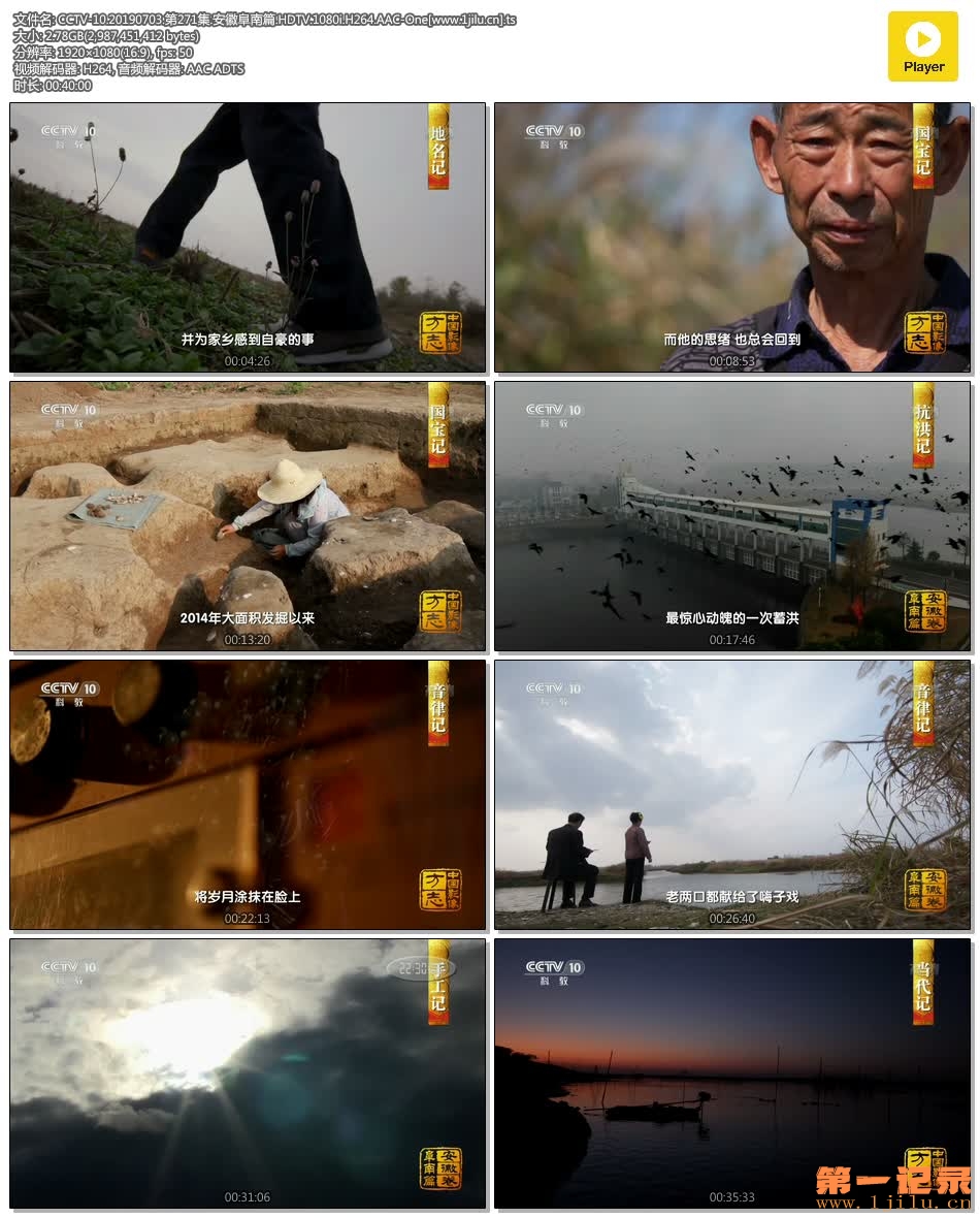 CCTV-10.20190703.第271集.安徽阜南篇.HDTV.1080i.H264.AAC-One[www.1jilu.cn].ts.jpg