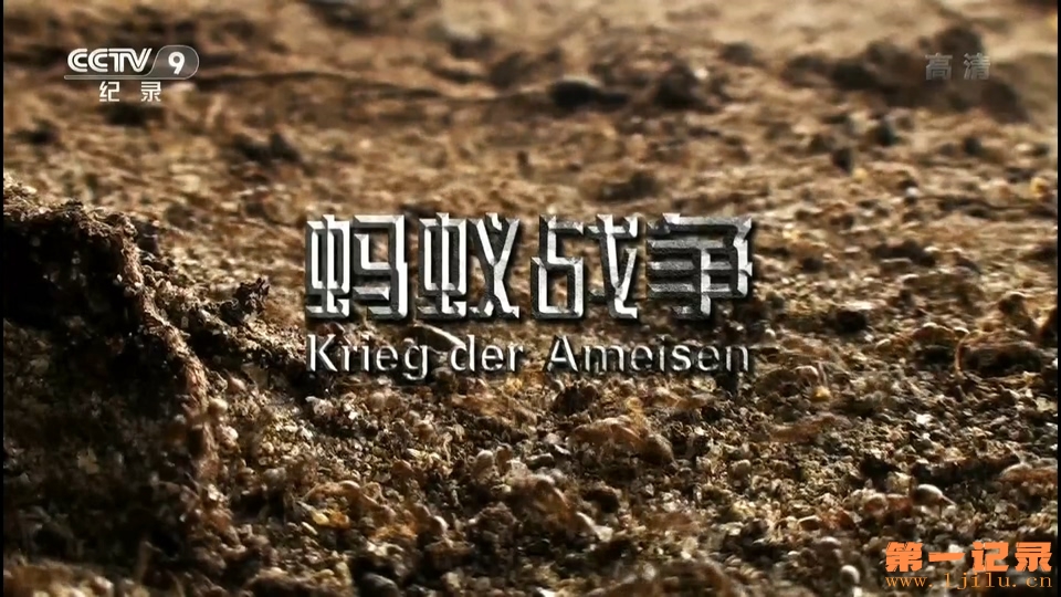 蚂蚁战争 Krieg der Ameisen (2012).jpg