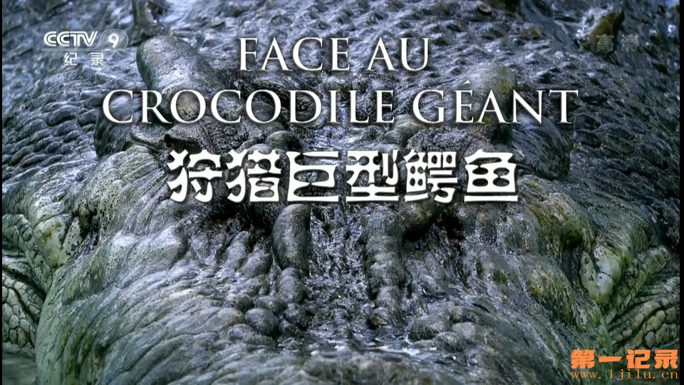 狩猎巨型鳄鱼 Face au crocodile géant (2013).jpg