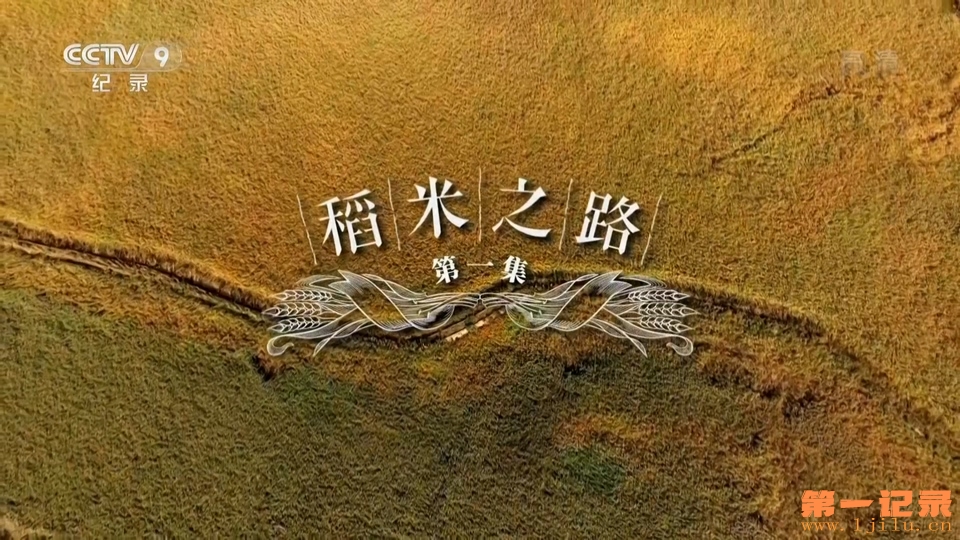 稻米之路(2019).jpg