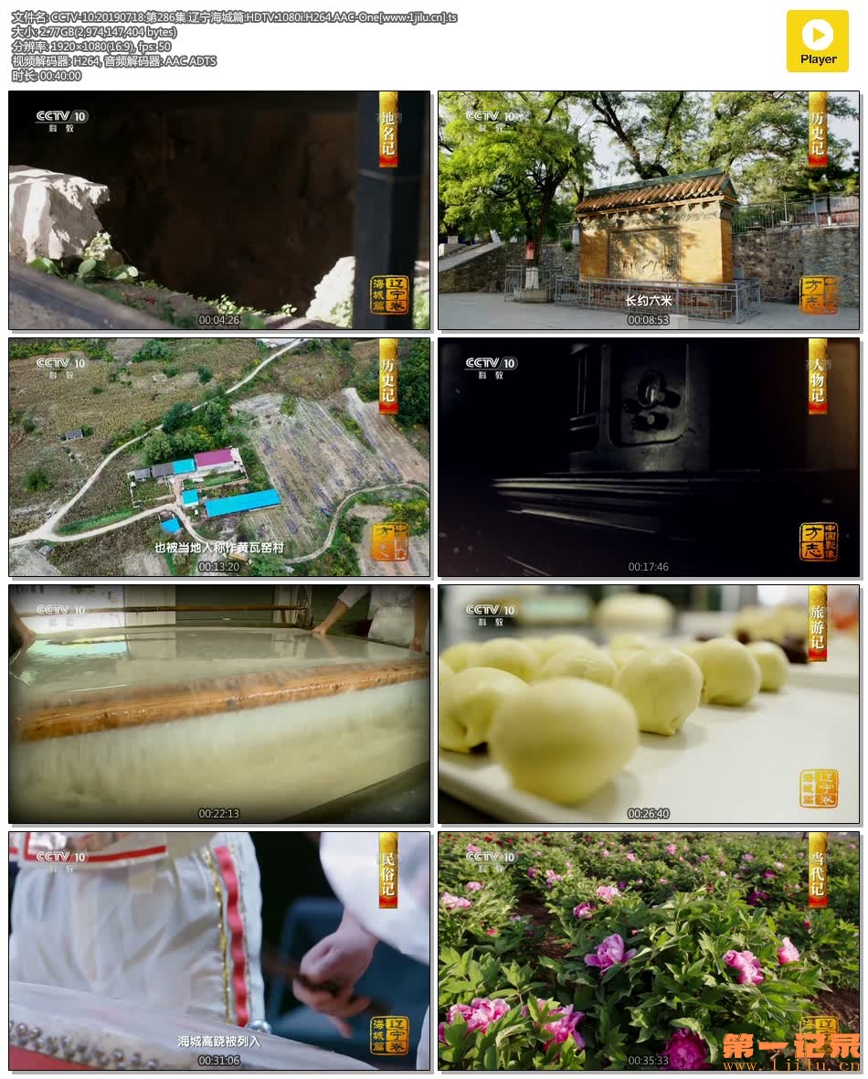 CCTV-10.20190718.第286集.辽宁海城篇.HDTV.1080i.H264.AAC-One[www.1jilu.cn].ts.jpg