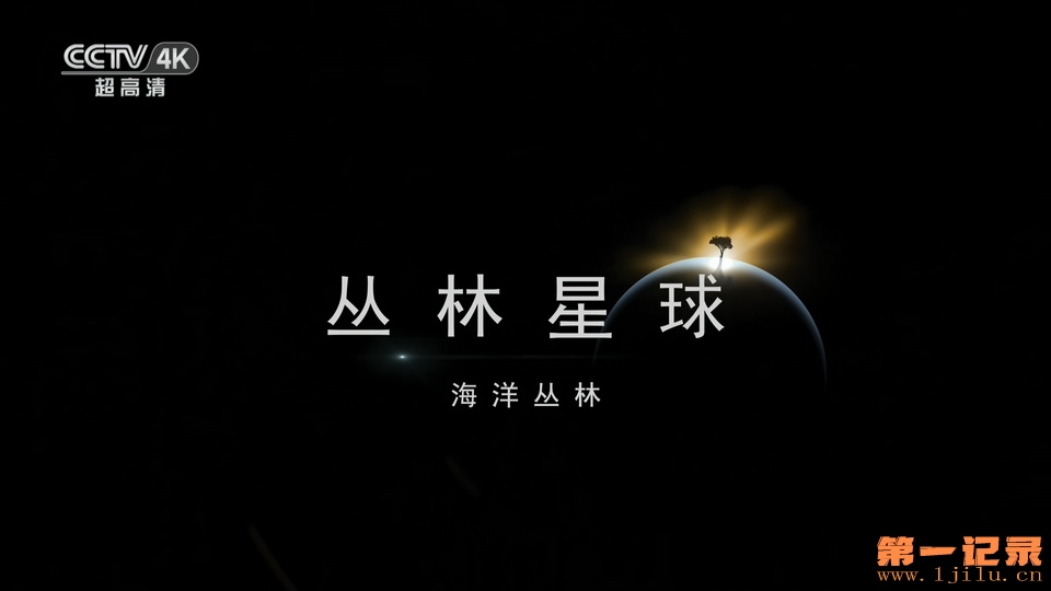 丛林星球：海洋丛林(2015).jpg