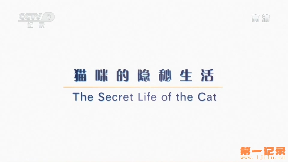 猫的秘密生活(2013).jpg