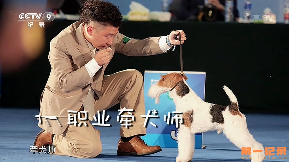 职业牵犬师(2015).jpg