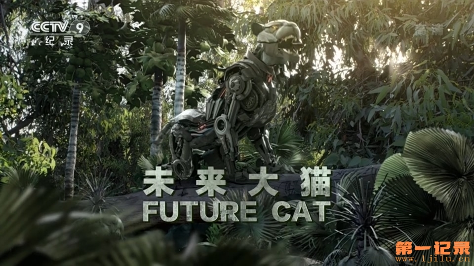 未来大猫 future cat (2014).jpg