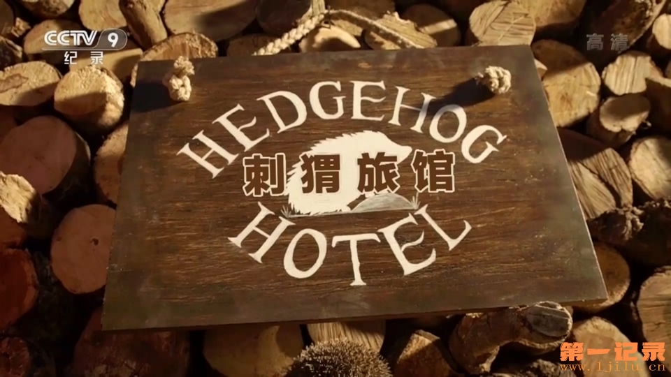 刺猬旅馆 Hedgehog Hotel (2015).jpg