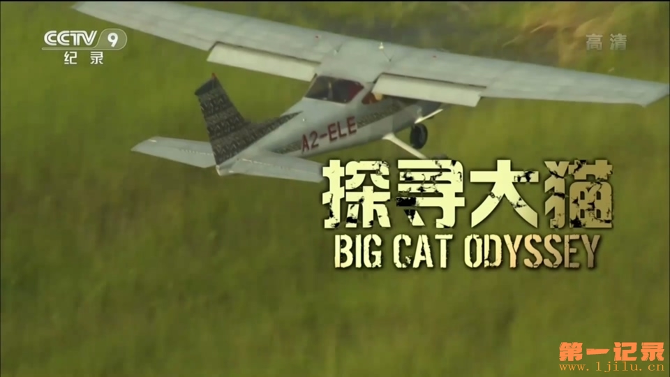 探寻大猫 Big Cat Odyssey (2010).jpg