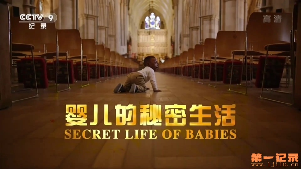 婴儿的秘密生活 Secret Life of Babies (2014).jpg