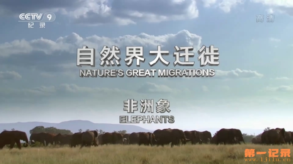 《BBC：自然大迁徙 Nature's Great Migrations》.jpg