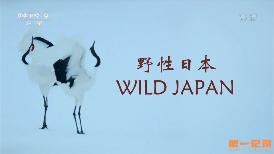 狂野日本 Wild Japan (2015).jpg