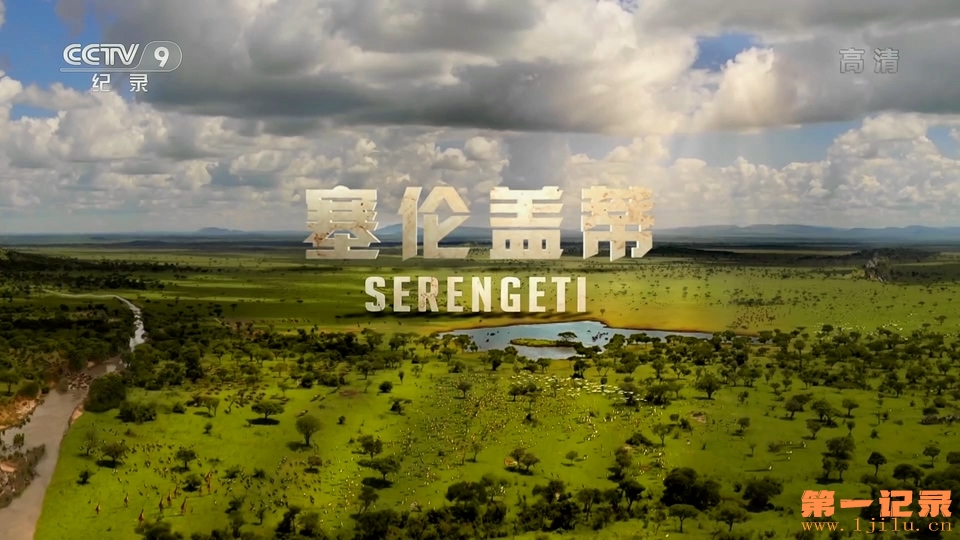 塞伦盖蒂 Serengeti (2019).jpg