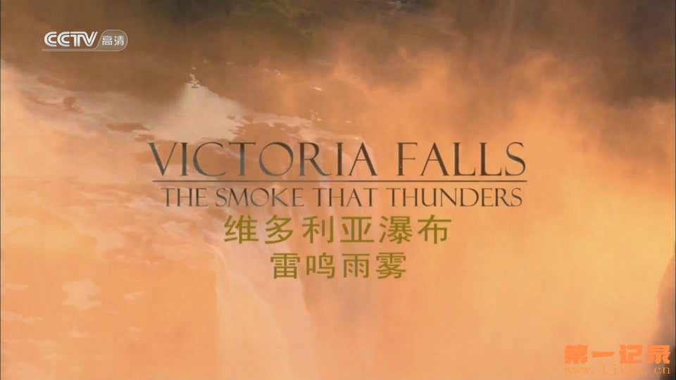 维多利亚瀑布——雷鸣雨雾 Victoria Falls - The Smoke That Thunders (2009).jpg