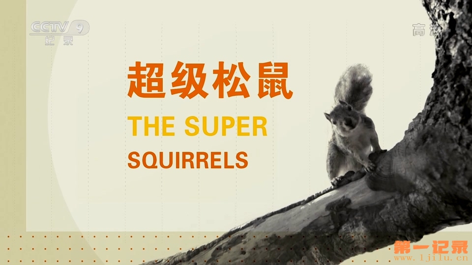 超级松鼠 Natural World The Super Squirrels (2018).jpg