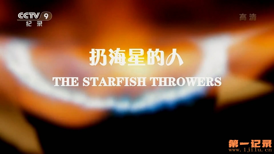 扔海星的人 The Starfish Throwers (2014).jpg