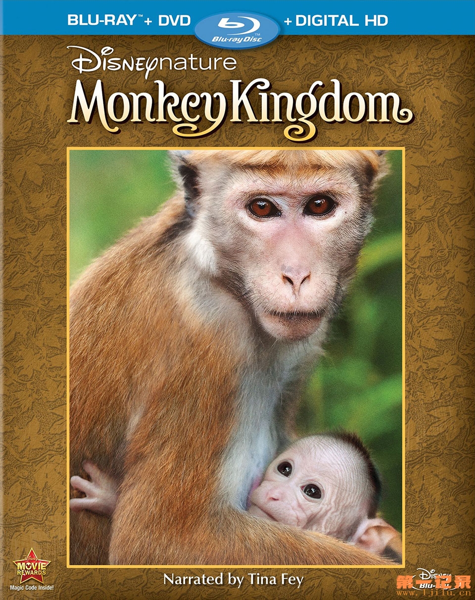 Monkey kingdom.jpg