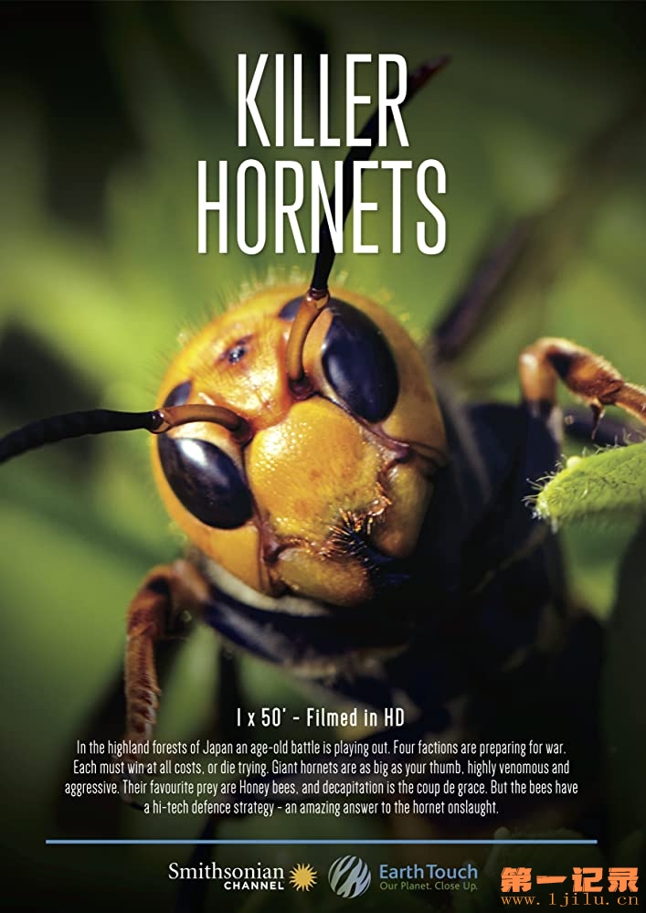 Killer hornets(2016).jpg