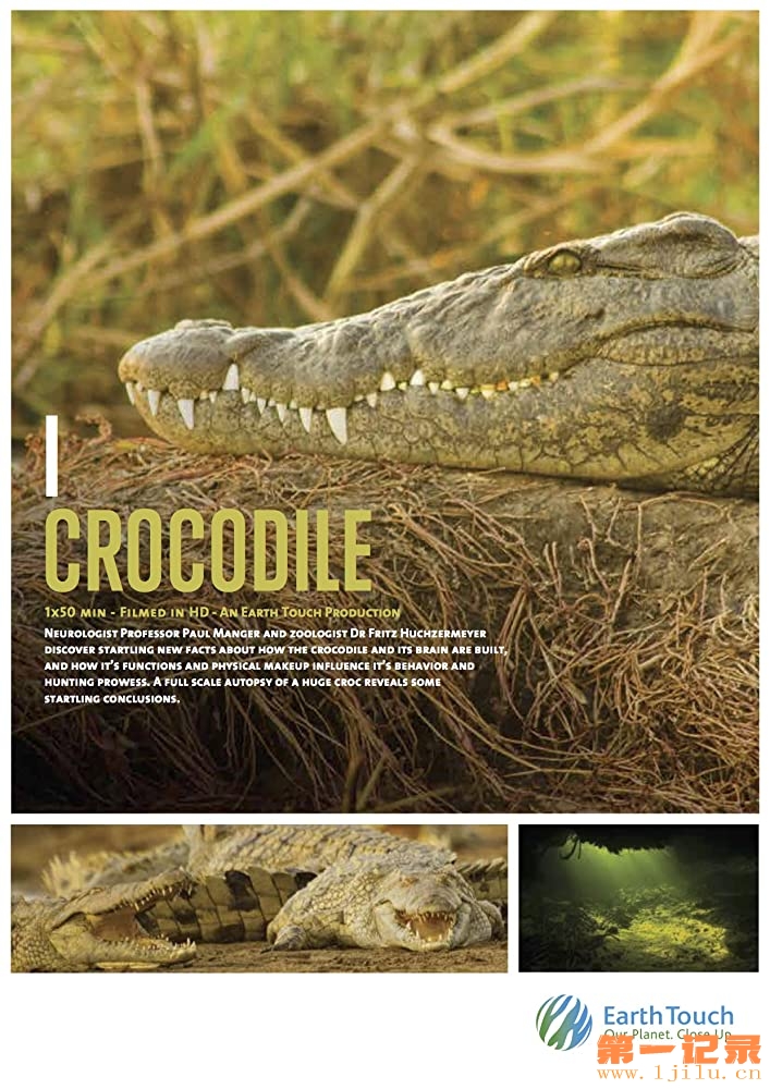 iCrocodile .jpg