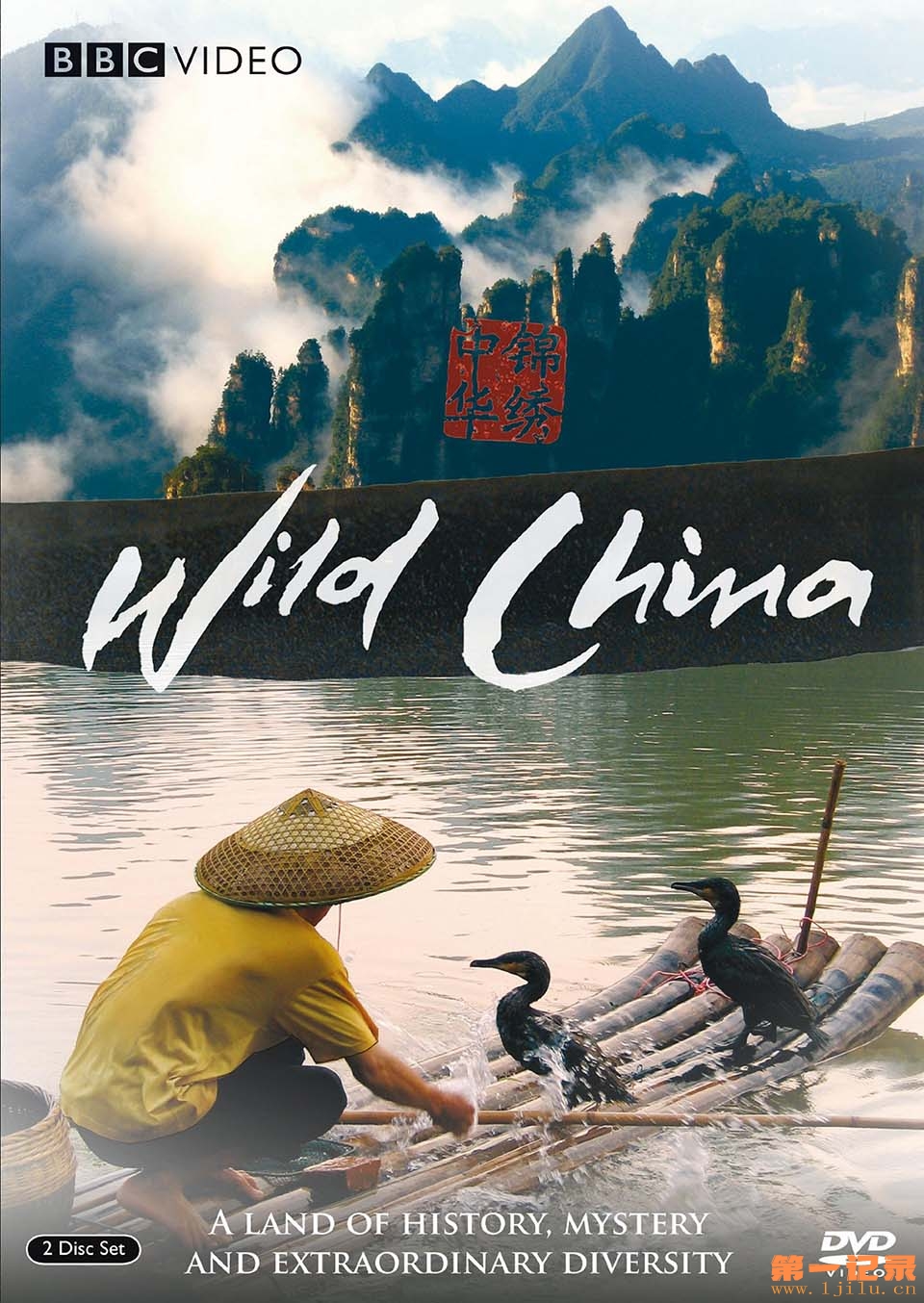 美丽中国 Wild China (2008).jpg