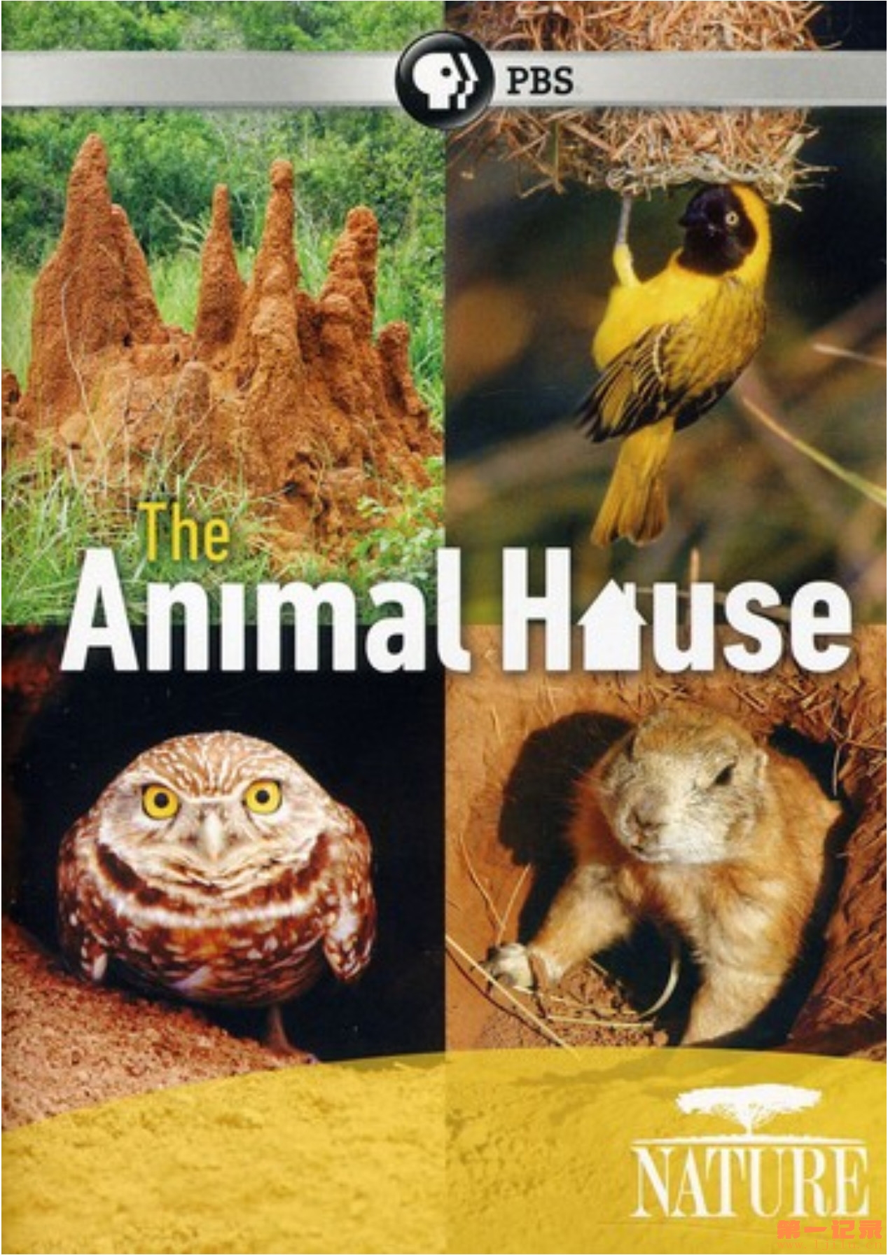 自然世界：动物之家 The Natural World Animal House (2011).jpg