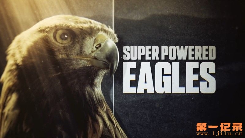 Super-Powered-Eagles-Cover.jpg