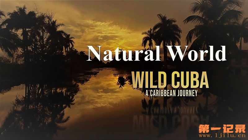 Natural-World-Wild-Cuba-a-Caribbean-Journey-Part-1-Cover.jpg