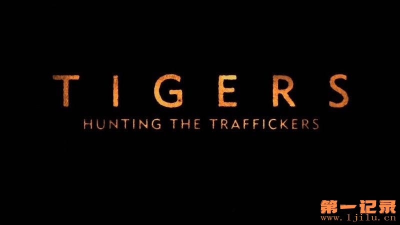 Tigers-Hunting-the-Traffickers-Cover.jpg