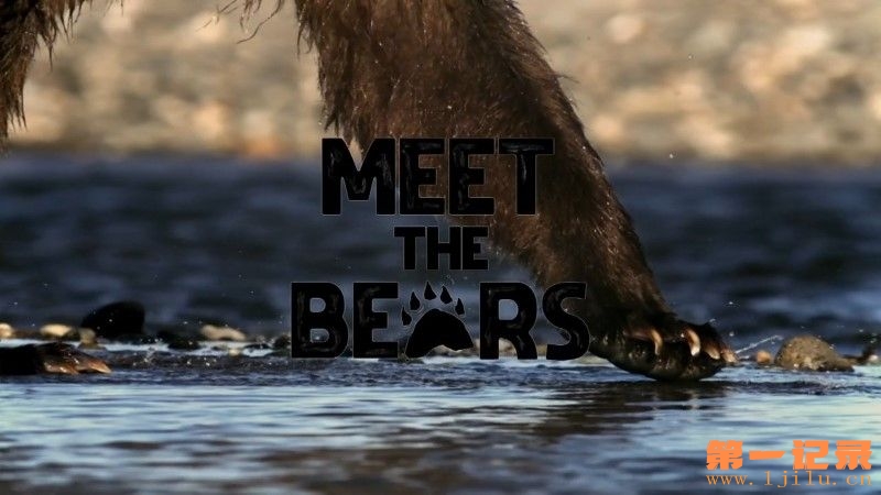 Meet-the-Bears-Cover.jpg