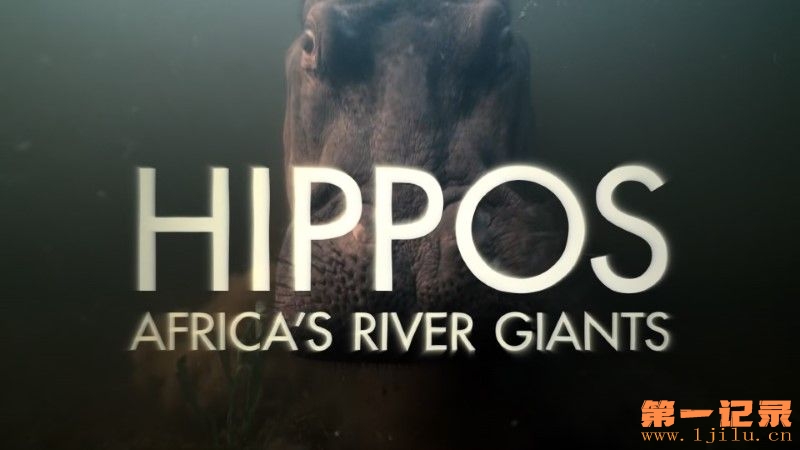 Hippos-Africa-s-River-Giants-Cover.jpg