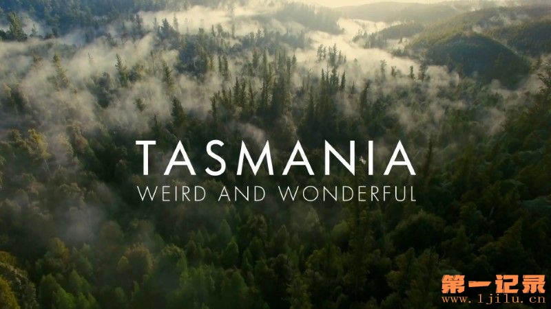 Tasmania-Weird-and-Wonderful-Cover.jpg