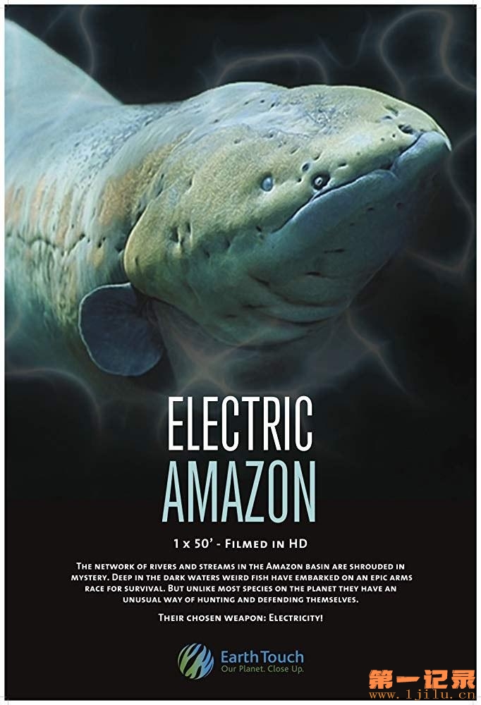 Electric Amazon (2015).jpg