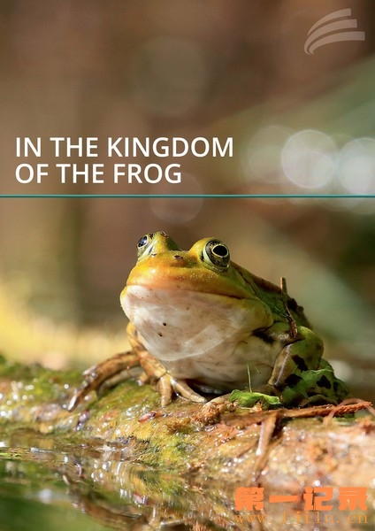 In the Kingdom of the Frog.jpg