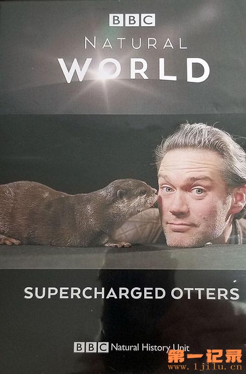 Supercharged Otters (2017).jpg