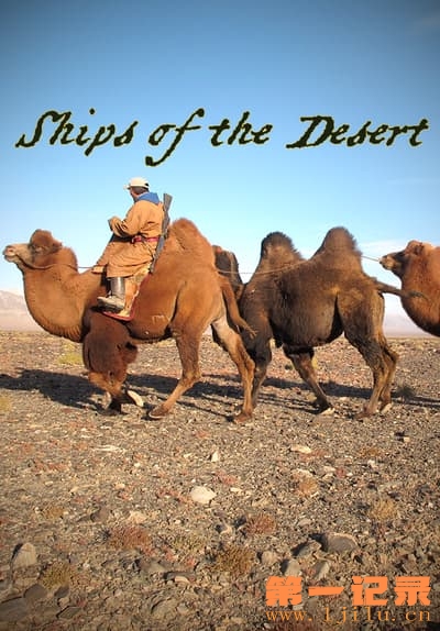 ships of the desert(2012).jpg